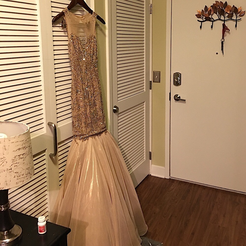 Winning Sherri Hill Custom Gown - Picture 7 of 8